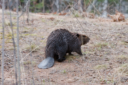 Off to another dam project