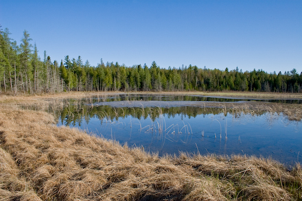 web440-20d-5890 The arena