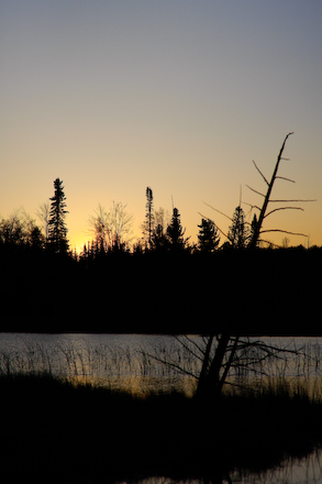 web440-_mg_0792 Lights go down in the arena