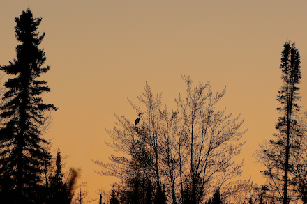 web440-_mg_0911-edit The final act