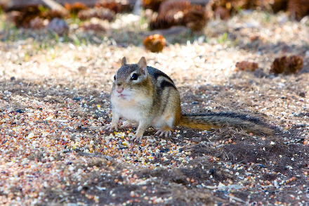 web440-_mg_5968 "Did you get my good side that time?"