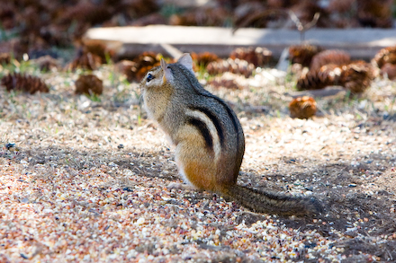 web440-_mg_5973 Enjoying the view on a beautiful day.