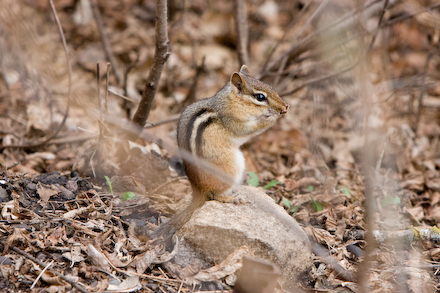 web440-_mg_7539 web440-_mg_7539