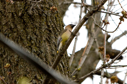 web440-_mg_7543 web440-_mg_7543