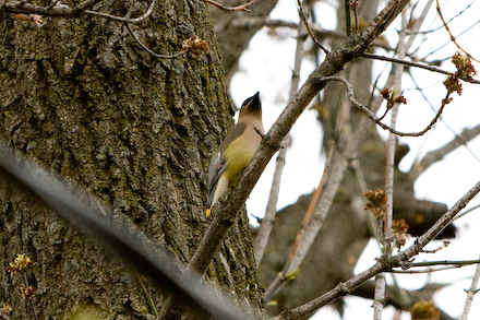 web440-_mg_7544 web440-_mg_7544