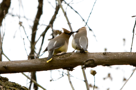 web440-_mg_7551 web440-_mg_7551