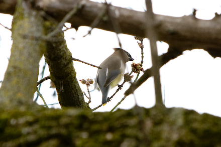 web440-_mg_7571 web440-_mg_7571