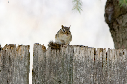 web440-_mg_7580 web440-_mg_7580