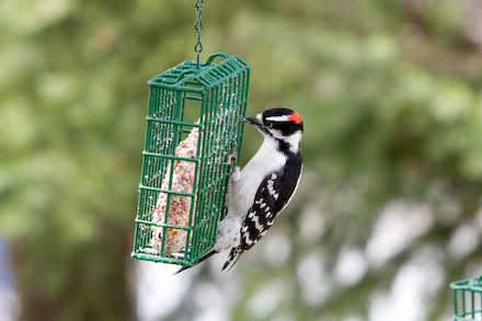 web440-_mg_7605 web440-_mg_7605